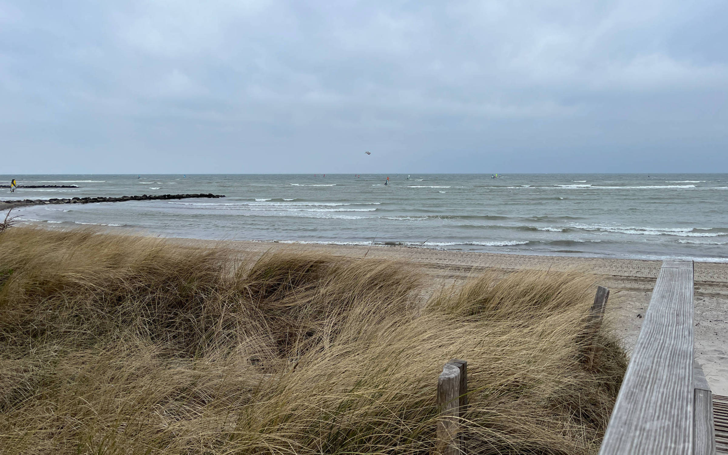 11.04.2025 - Heiligenhafen
