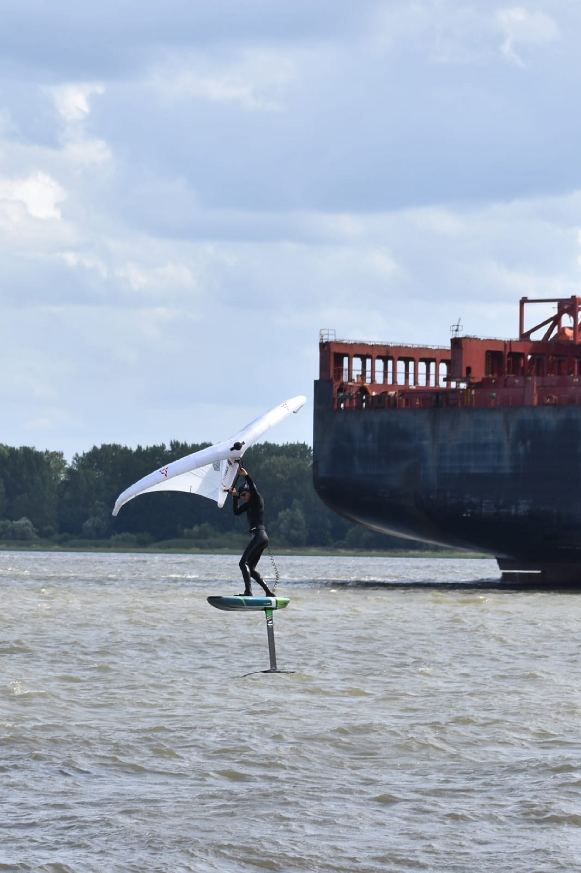 28.08.2025 - Neulich an der Elbe (3) ...