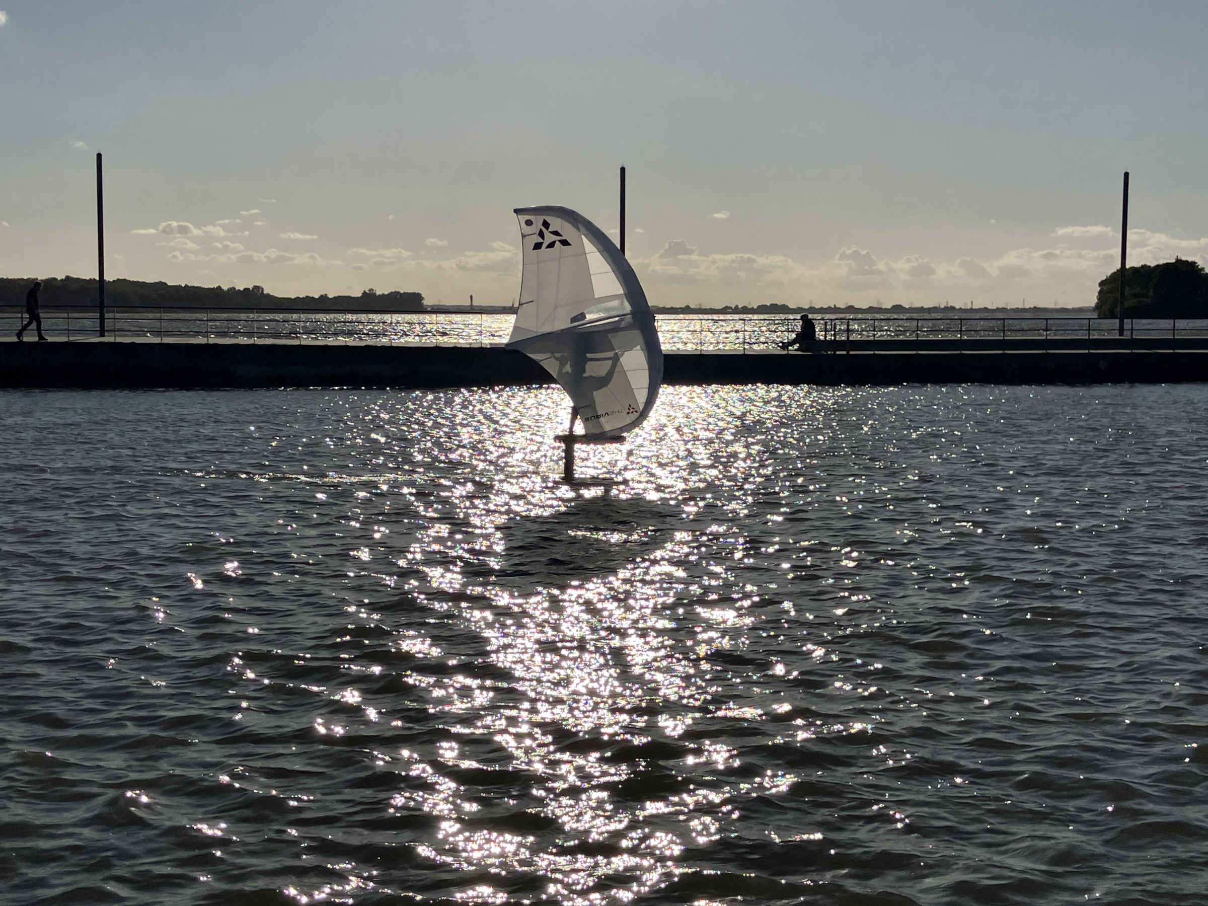 23.09.2025 - Neulich an der Elbe (4) ...