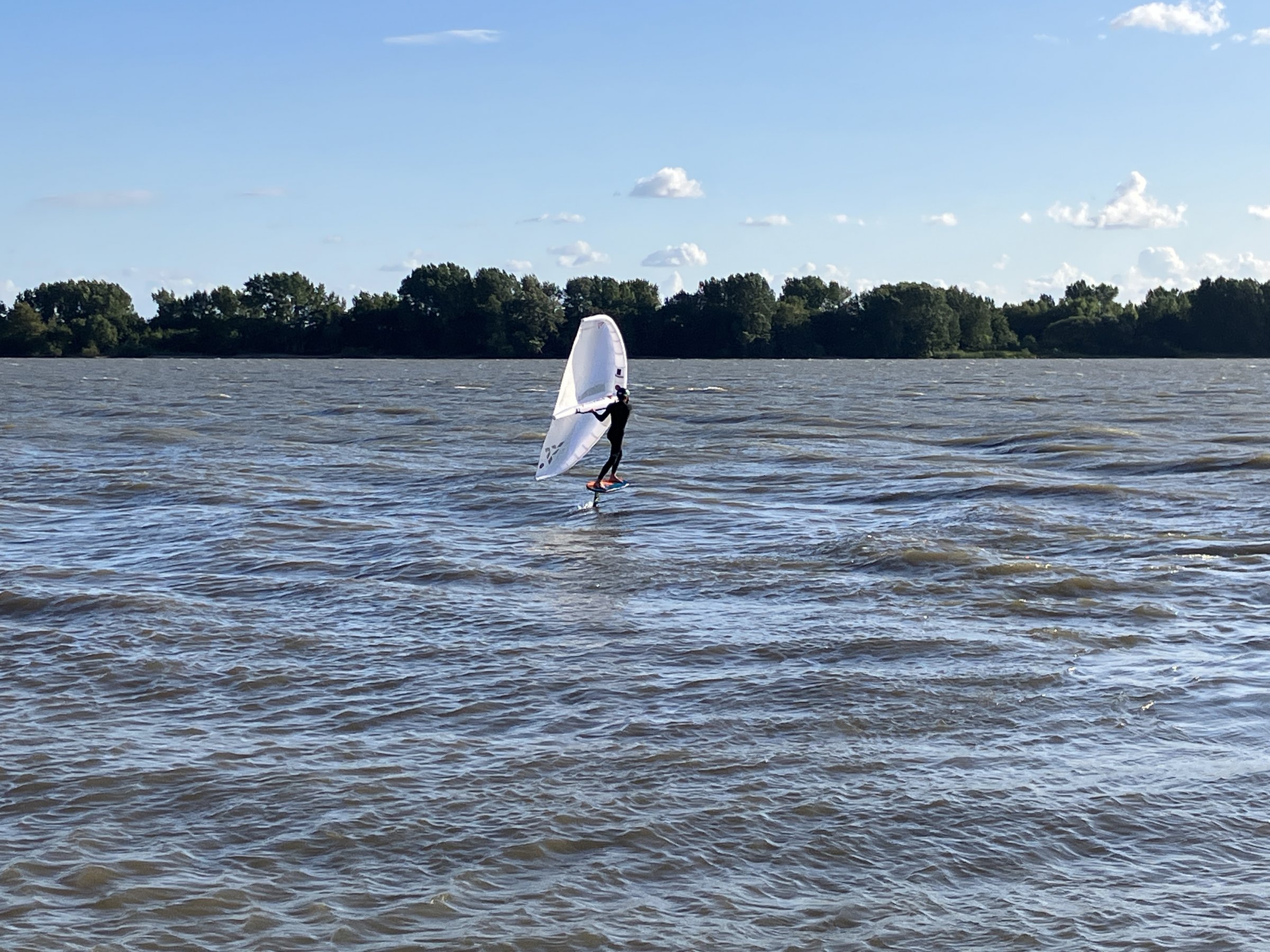 23.09.2025 - Neulich an der Elbe (4) ...