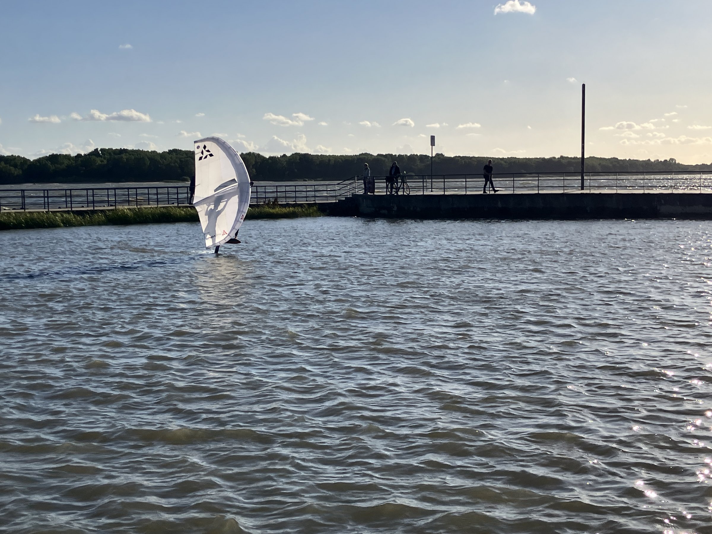23.09.2025 - Neulich an der Elbe (4) ...