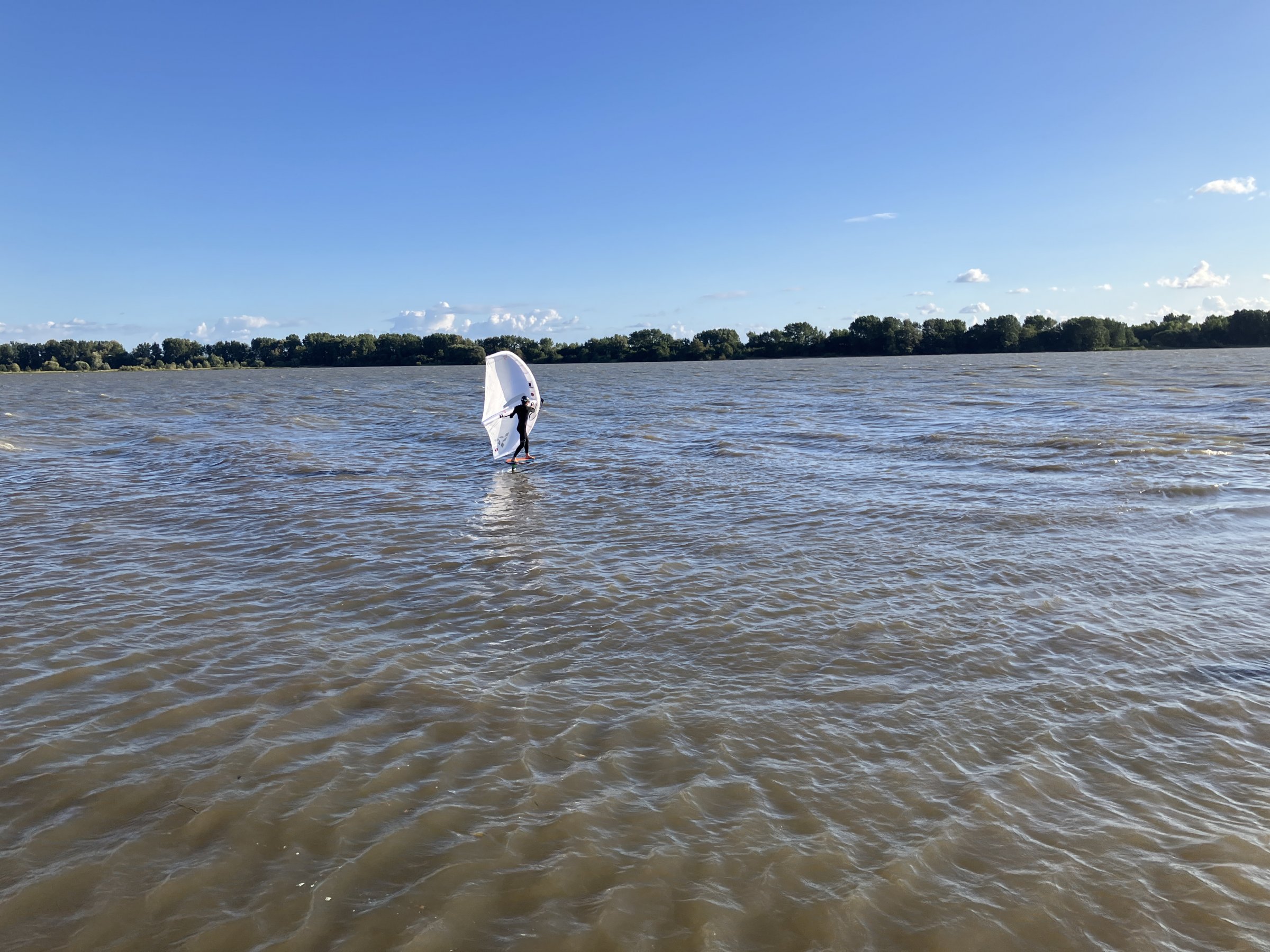 23.09.2025 - Neulich an der Elbe (4) ...