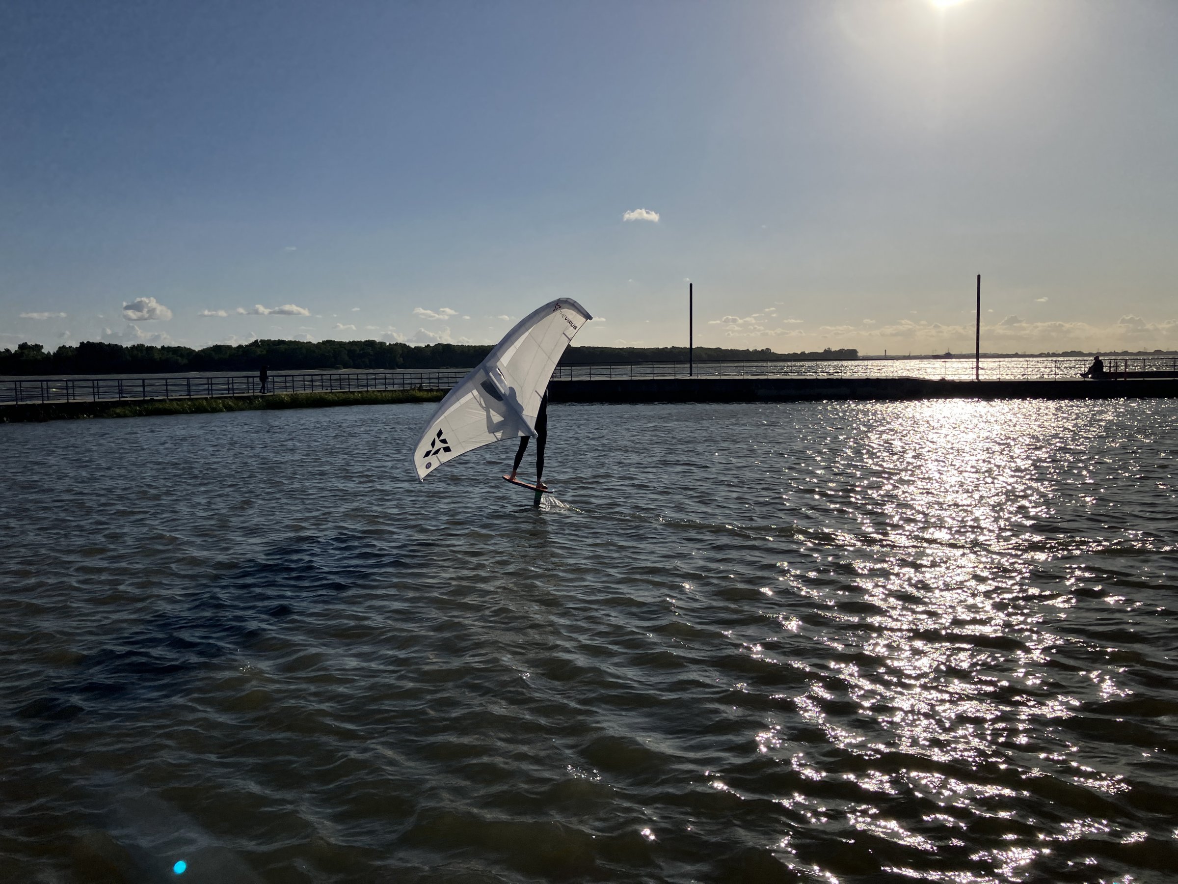 23.09.2025 - Neulich an der Elbe (4) ...
