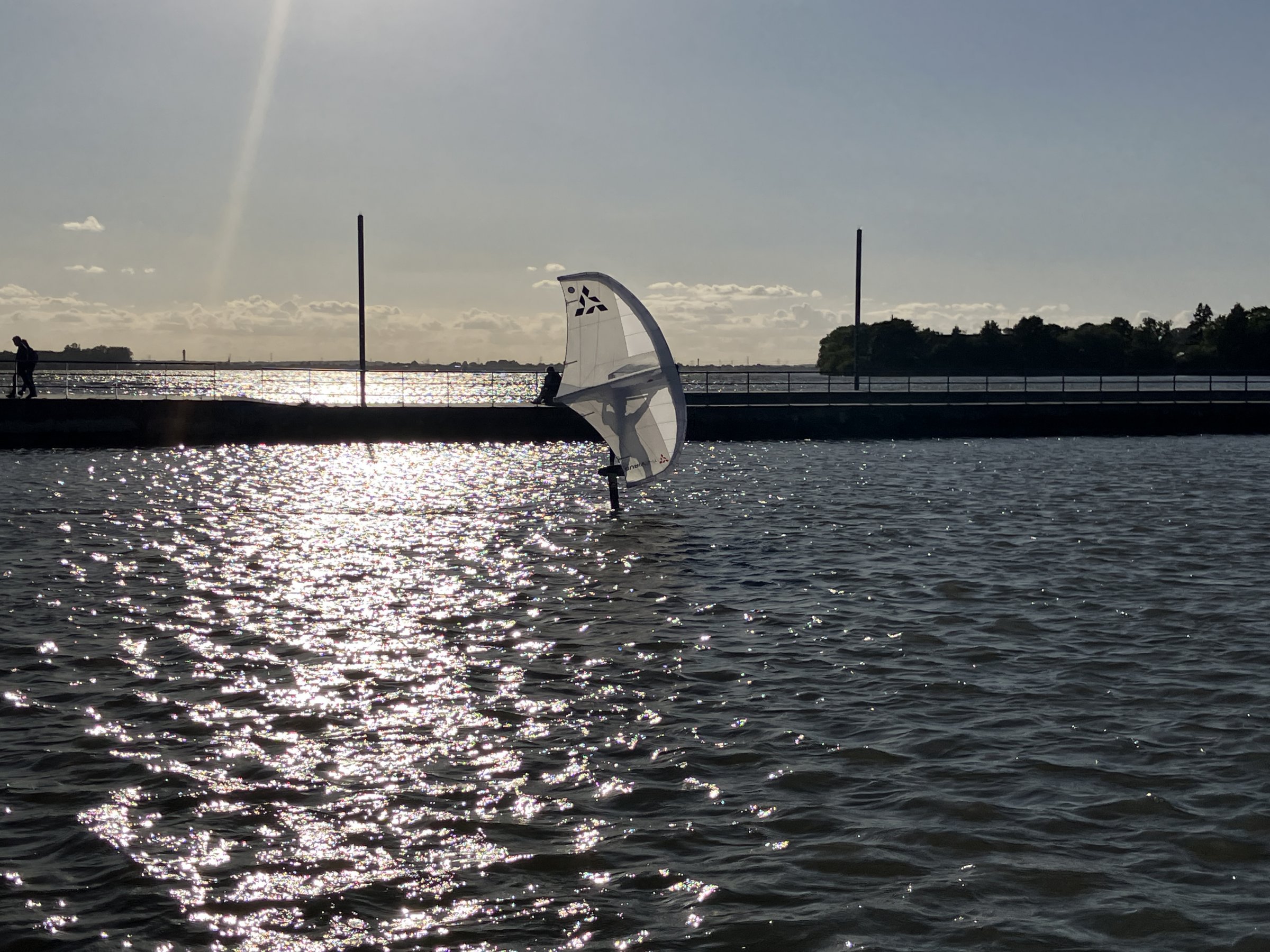 23.09.2025 - Neulich an der Elbe (4) ...