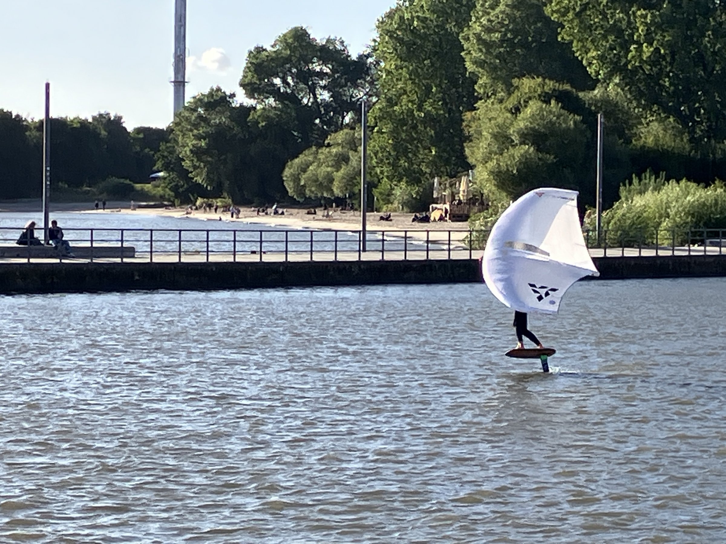 23.09.2025 - Neulich an der Elbe (4) ...