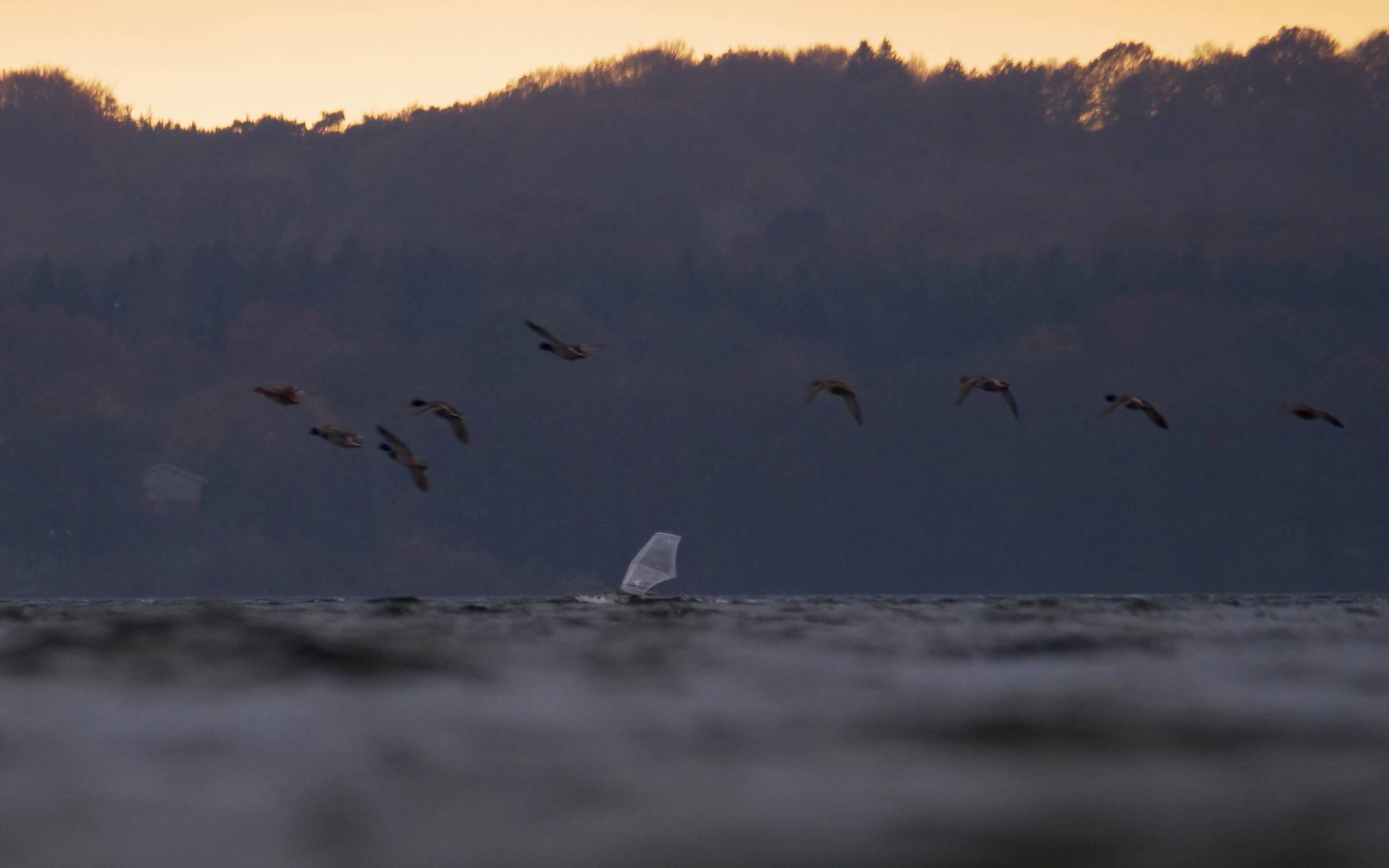 11.11.2025 - Wittensee