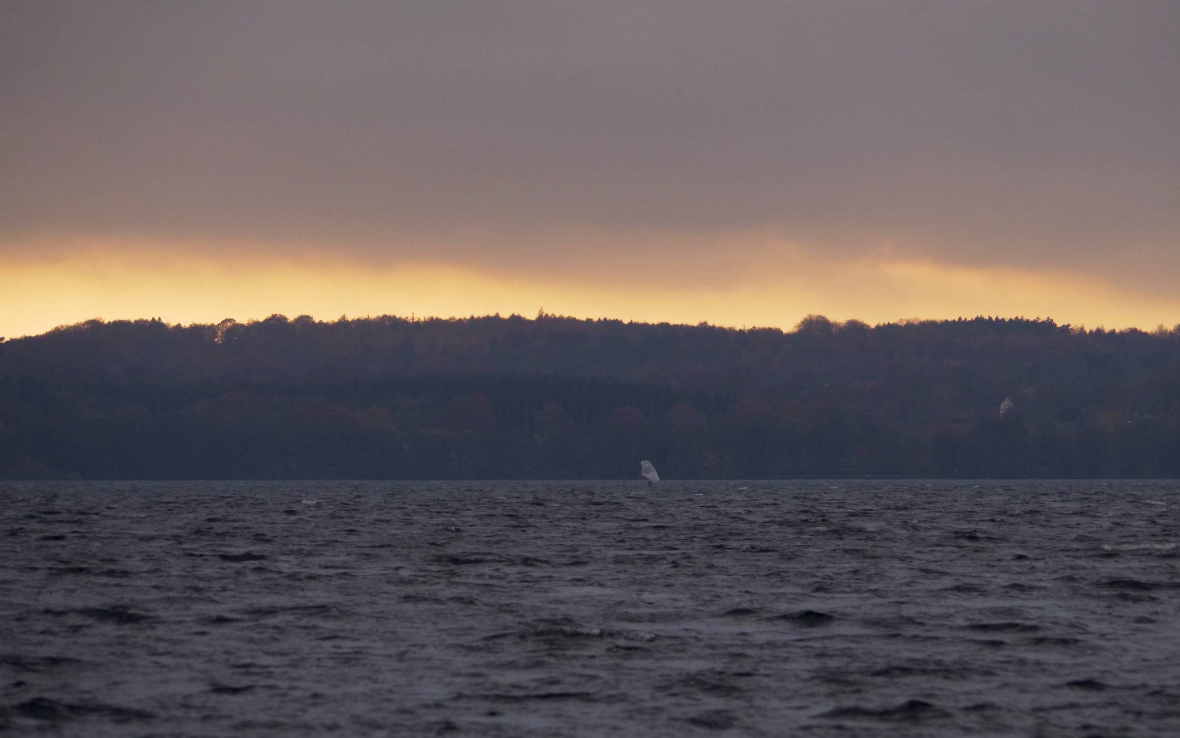 11.11.2025 - Wittensee