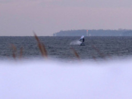 07.01.2026 - Strande