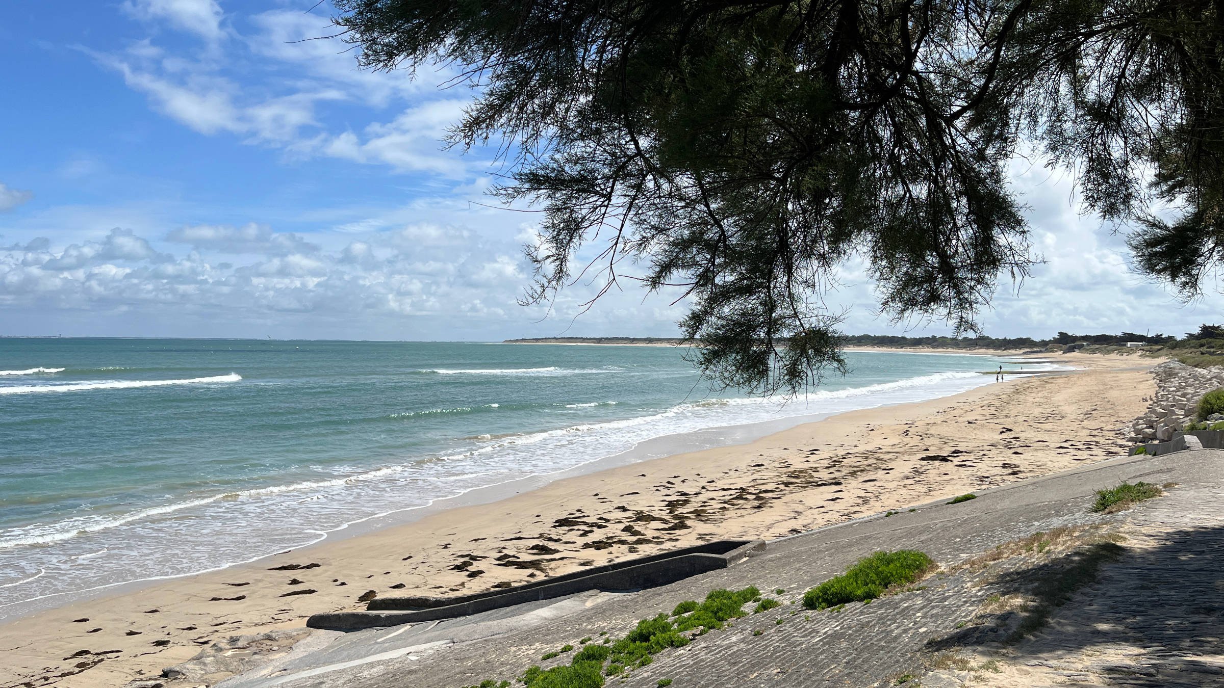 08.06.2026 - Conche des Baleines