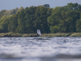 13.10.2026 - Wittensee