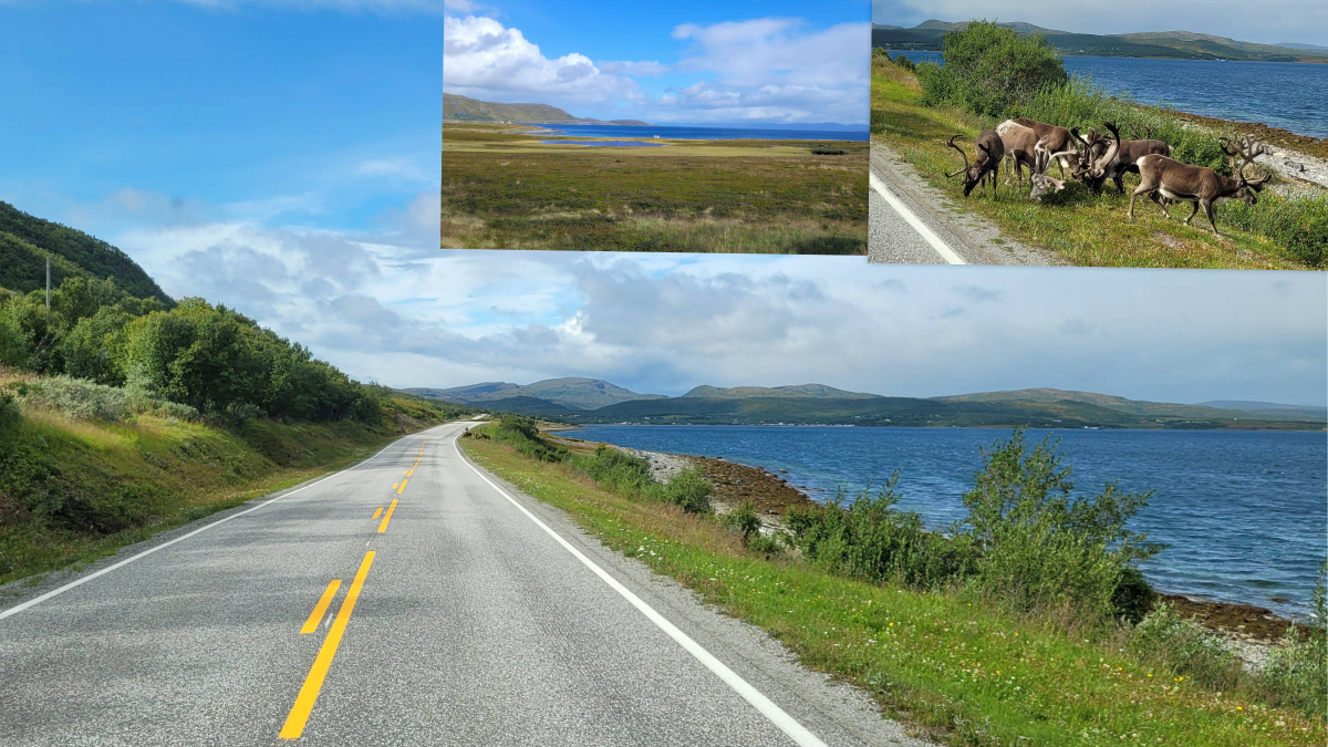 On the way to the North Cape